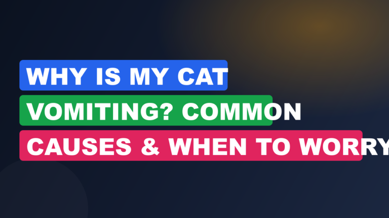 Why Is My Cat Vomiting? Common Causes & When to Worry