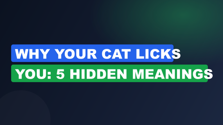 Why Your Cat Licks You: 5 Hidden Meanings