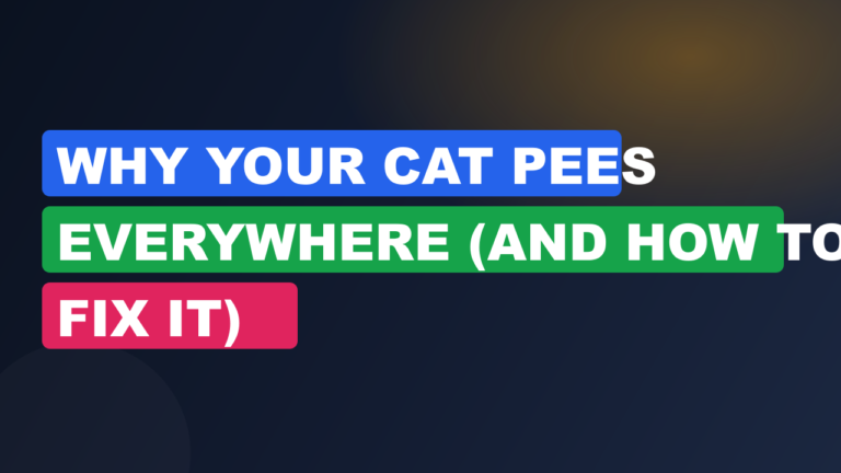 Why Your Cat Pees Everywhere (and How to Fix It)