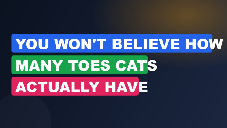 You Won't Believe How Many Toes Cats Actually Have