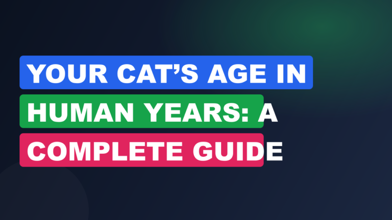 Your Cat’s Age in Human Years: A Complete Guide