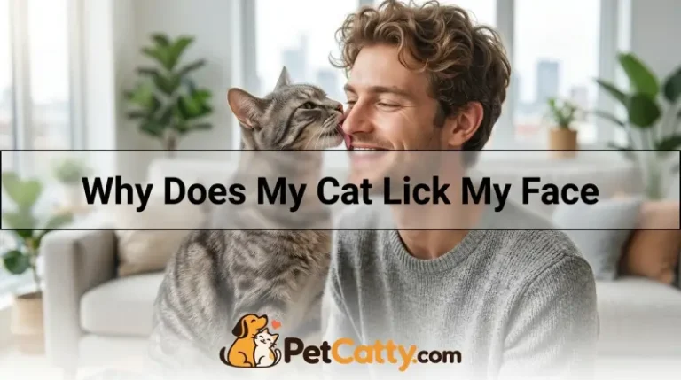Why Does My Cat Lick My Face